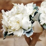 MORS Wedding Gardenia