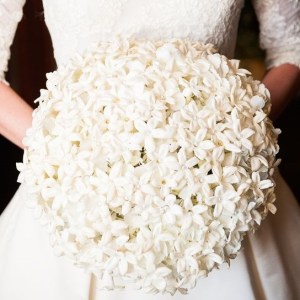 MORS Wedding Stephanotis